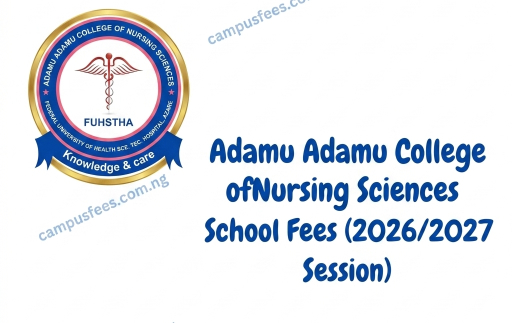 Adamu Adamu College of Nursing Sciences school fees