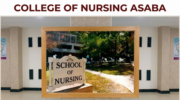 College of nursing sciences Asaba school fees
