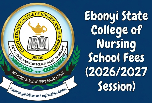 Ebonyi State College of Nursing Sciences, Uburu school fees