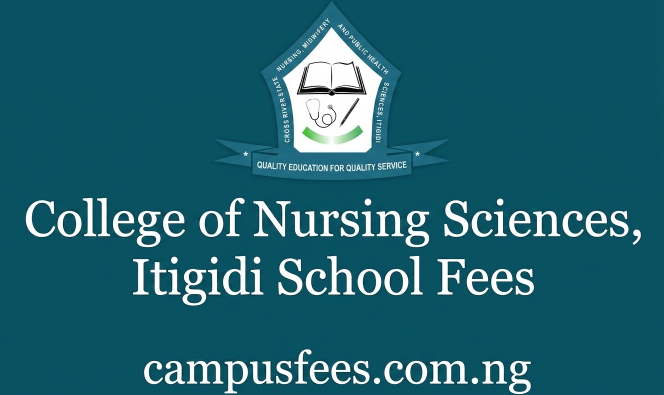 College of Nursing Sciences Itigidi school fees