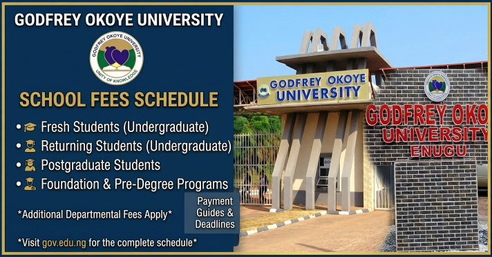 Godfrey Okoye University school fees