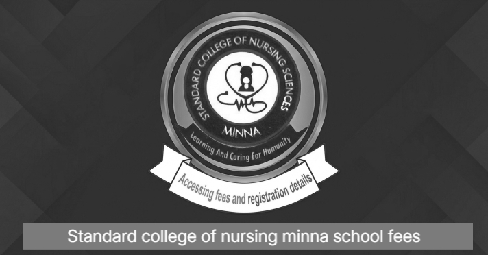 Standard College of Nursing Minna school fees