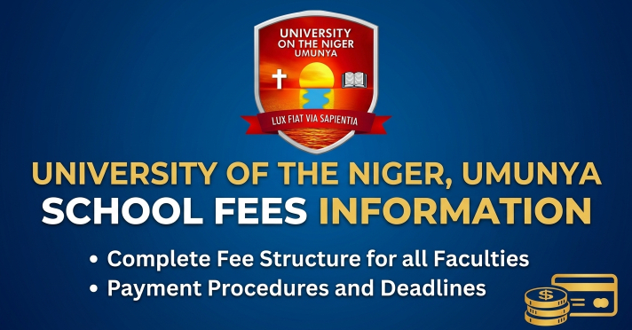 University on the Niger school fees